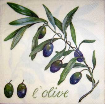 Branche d'olivier et belles olives