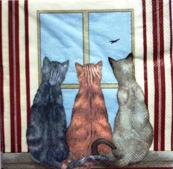 3 chats à la fenêtre