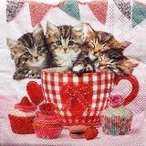 4 chatons, tasses et cupcakes