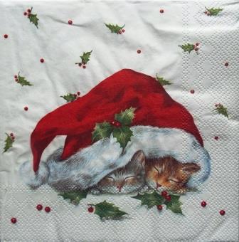 Chatons endormis sous le bonnet de Noël