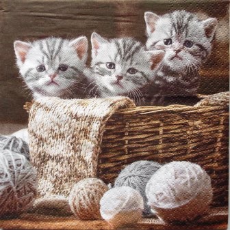 Panier de chatons gris et pelotes de laine