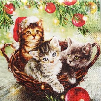 Panier de chats de Noël