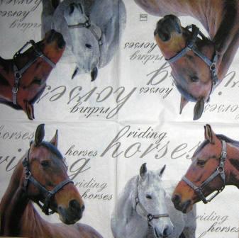 Chevaux "riding horses"