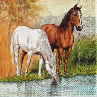 2 chevaux au bord de l'eau