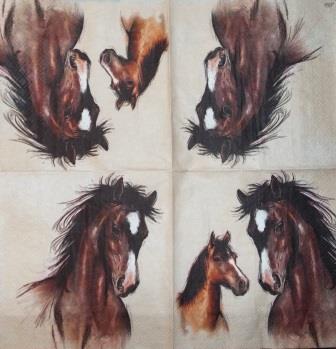 Beaux dessins de chevaux