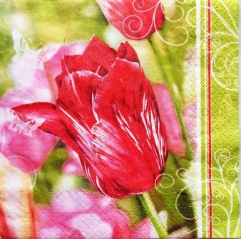 Belles tulipes roses et petit papillon