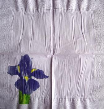 Bel iris violet fond mauve