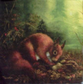 Ecureuil qui mange dans la forêt