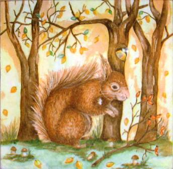 Ecureuil devant les arbres