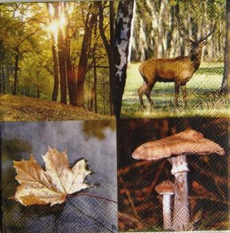 Cerf, forêt, feuille d'automne et champignon
