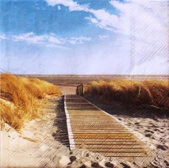 Chemin dans les dunes du bord de mer