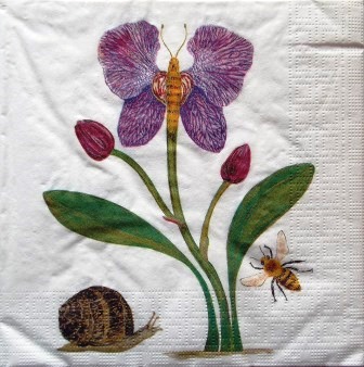 Orchidée papillon, abeille et escargot