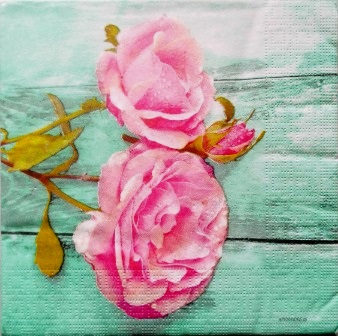 Roses roses avec perles de rosée