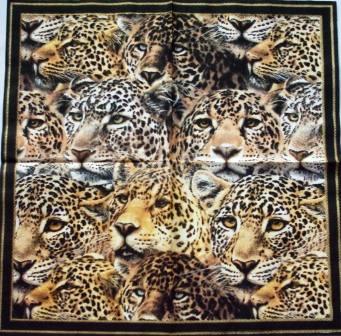 Têtes de léopard