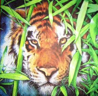 Tête de tigre dans les herbes
