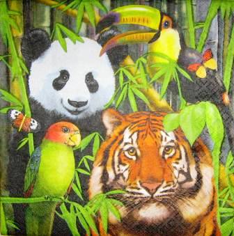 Tigre, panda et oiseaux