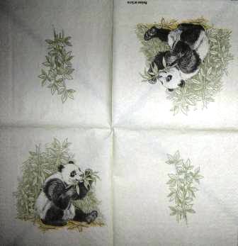 Le panda et l'eucalyptus