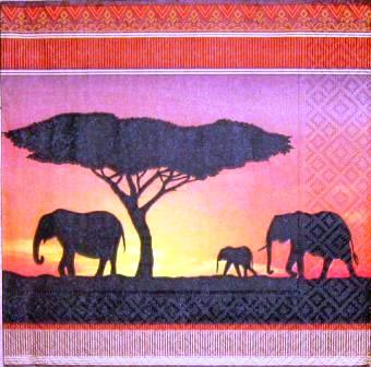 Eléphants au coucher de soleil