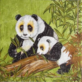 Maman et bébé pandas - fond vert