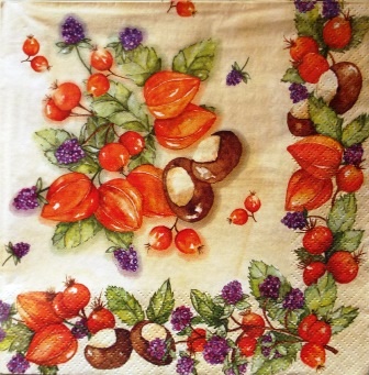 Grappes de physalis, mûres et marrons