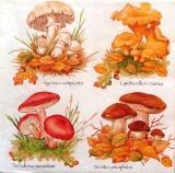 4 variétés de champignons sur feuilles