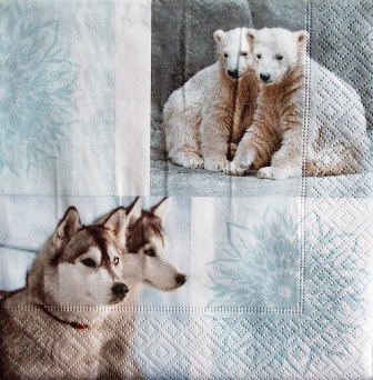 Ours polaires et chiens huskies