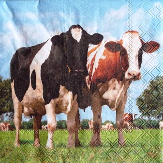 Les vaches dans le pré