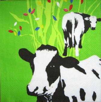 2 vaches fond vert