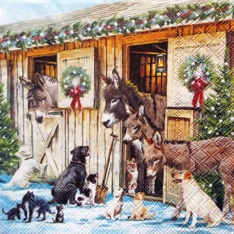 Anes, chiens, chats, à Noël