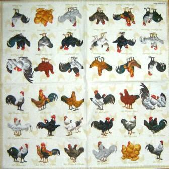 Poules et coqs divers, fond beige