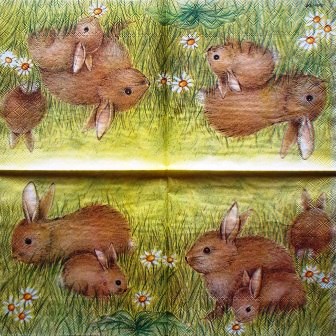 Lapins et lapereaux dans l'herbe