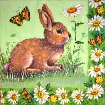 Petit lapin aux fleurs et papillons