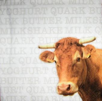 Portrait de vache