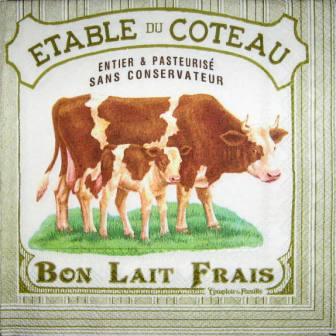 Vache et veau "étable du coteau"