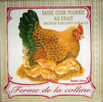 Poule et poussins "ferme de la colline"