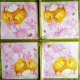 Poussins, oeufs et abeilles