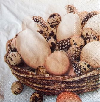 Oeufs et plumes dans le panier