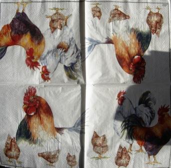 Poules et coqs variés