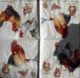 Poules et coqs variés