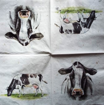 Belle vache en portrait et en entier