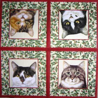 4 portraits de chats