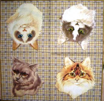 4 têtes de chats persans