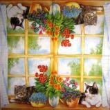 Chats couch&eacute;s &agrave; la fen&ecirc;tre