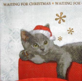 Chaton gris de Noël