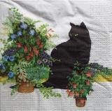 Le chat noir et les fleurs