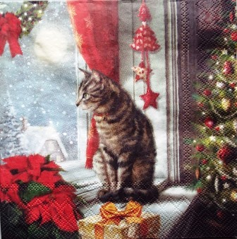 Le chat de Noël à la fenêtre