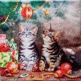 Les chatons au sapin de Noël