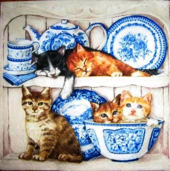 Chatons dans la vaisselle bleue