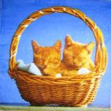 2 chatons roux dans le panier