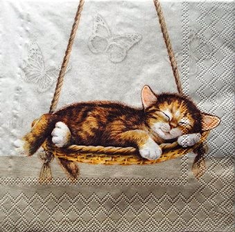 Chat endormi dans le panier suspendu